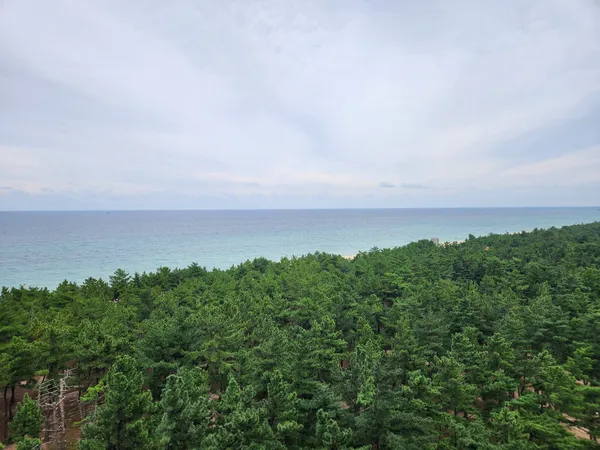 Korean nature & sea & forest aesthetic wallpaper for phone