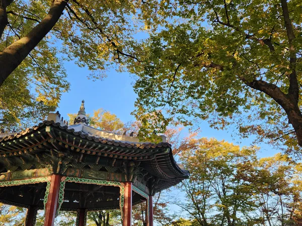 Korean nature & autumn & hanok & architecture aesthetic wallpaper for phone