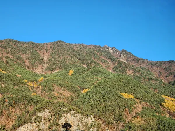 Korean nature & mountain & autumn & forest aesthetic wallpaper for phone