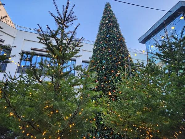 Korean street & architecture & aesthetic aesthetic wallpaper for phone