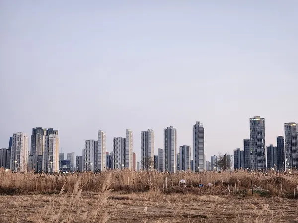 Korean architecture & nature & river aesthetic wallpaper for phone