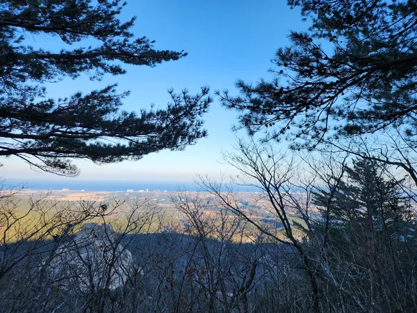 Korean nature & mountain & forest aesthetic wallpaper for phone