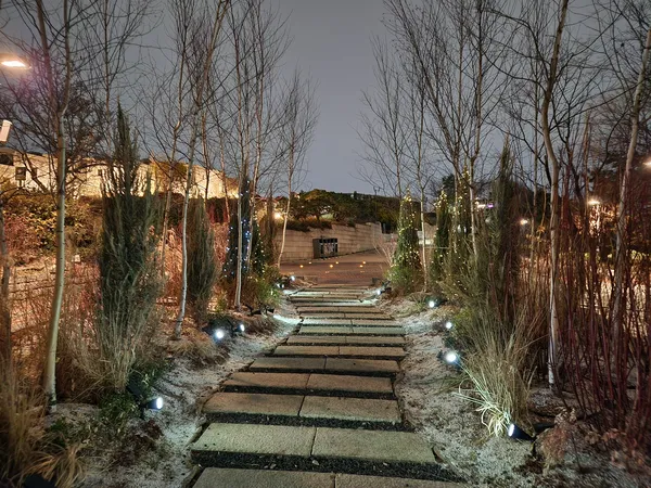 Korean seoul-nights & park & aesthetic aesthetic wallpaper for phone