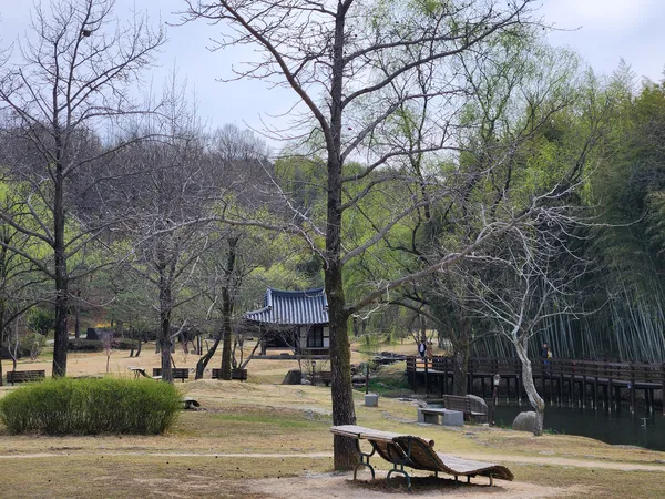 Korean nature & hanok & park & forest aesthetic wallpaper for phone