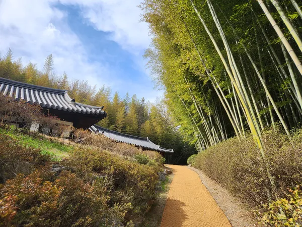 Korean street & hanok & forest & alley aesthetic wallpaper for phone