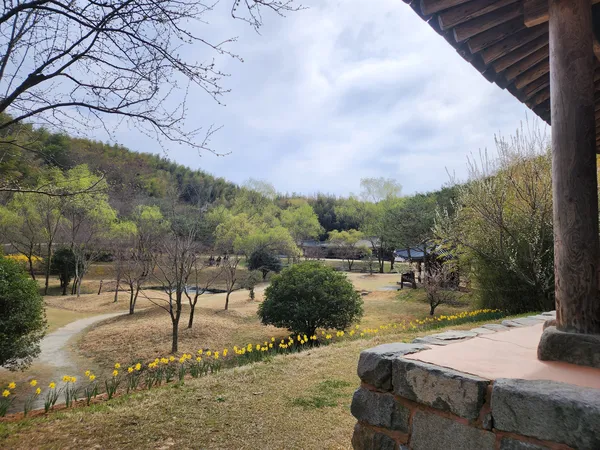 Korean nature & park & flower aesthetic wallpaper for phone