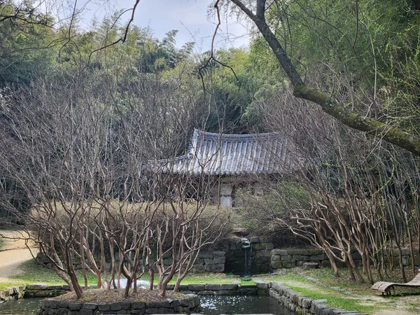 Korean nature & hanok & forest & river aesthetic wallpaper for phone