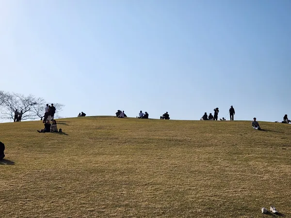 Korean park & aesthetic aesthetic wallpaper for phone