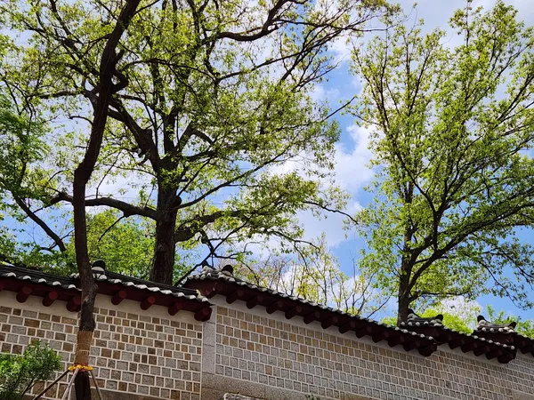 Korean hanok & nature aesthetic wallpaper for phone