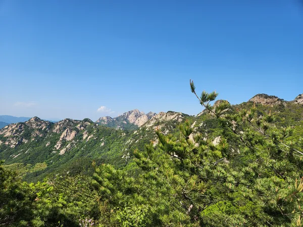 Korean mountain & forest & nature aesthetic wallpaper for phone