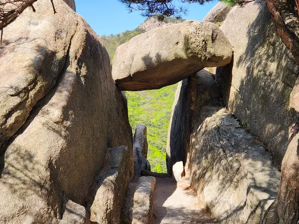 Korean mountain & nature & forest aesthetic wallpaper for phone