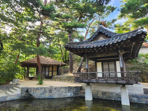 Korean hanok & nature & forest aesthetic wallpaper for phone