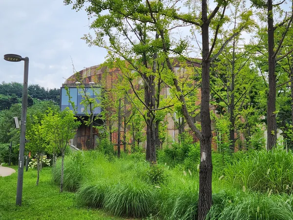 Korean architecture & nature & park aesthetic wallpaper for phone