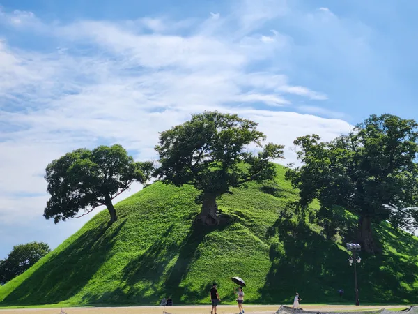 Korean nature & park & aesthetic aesthetic wallpaper for phone