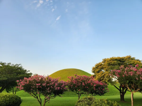 Korean park & flower & nature & aesthetic aesthetic wallpaper for phone