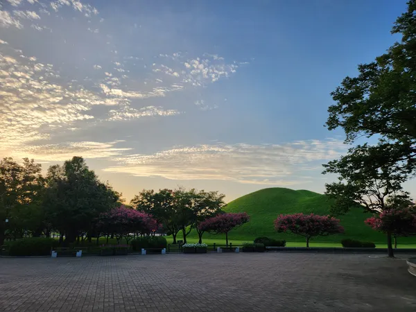 Korean park & flower & sunset & nature aesthetic wallpaper for phone