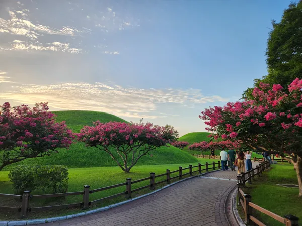 Korean park & flower & nature & aesthetic aesthetic wallpaper for phone