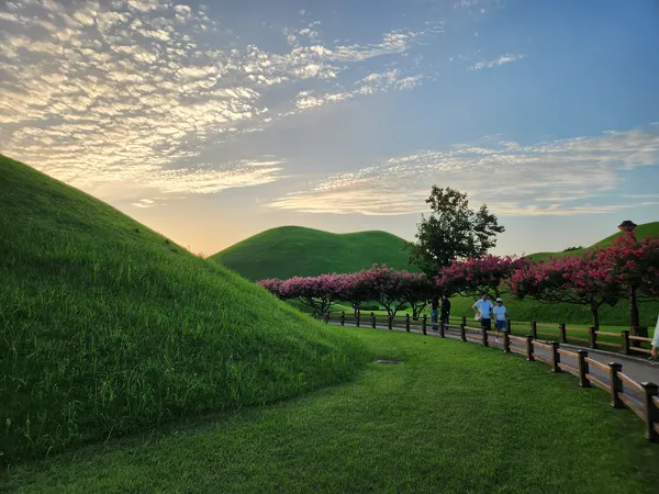 Korean park & flower & nature & aesthetic aesthetic wallpaper for phone