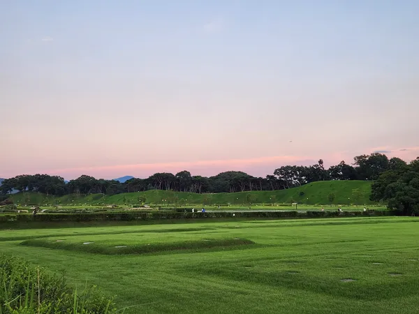 Korean park & sunset & nature aesthetic wallpaper for phone