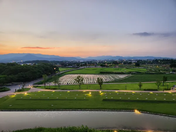 Korean park & sunset & nature aesthetic wallpaper for phone