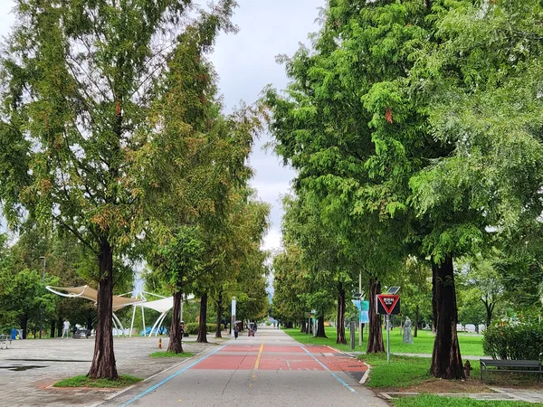 Korean park & forest & nature aesthetic wallpaper for phone