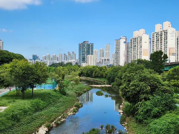 Korean river & architecture & nature aesthetic wallpaper for phone