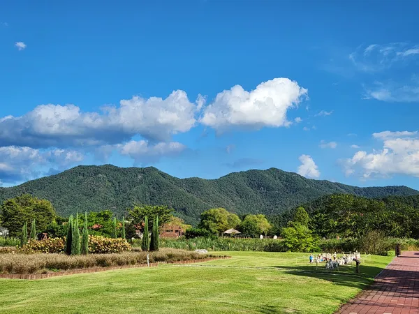 Korean nature & mountain & park aesthetic wallpaper for phone