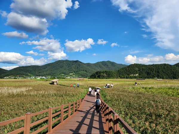 Korean nature & mountain & park aesthetic wallpaper for phone