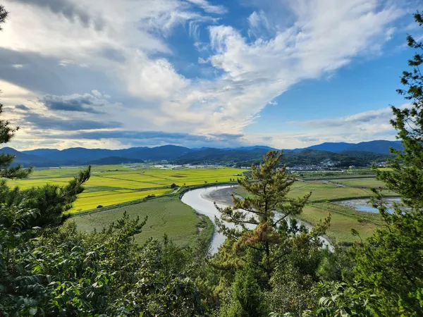 Korean nature & river & mountain & aesthetic aesthetic wallpaper for phone