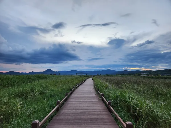 Korean nature & park & mountain & aesthetic aesthetic wallpaper for phone