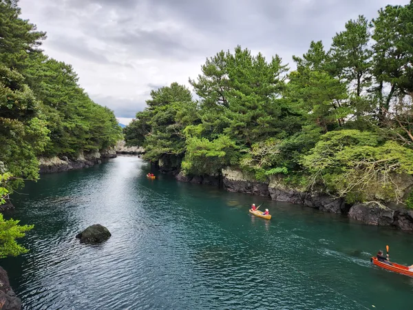 Korean sea & nature & forest aesthetic wallpaper for phone