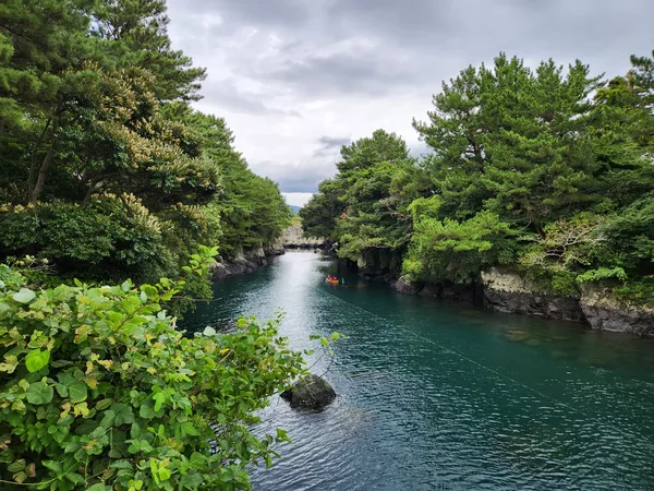 Korean sea & nature & forest & aesthetic aesthetic wallpaper for phone