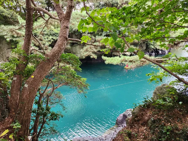 Korean nature & forest & river & aesthetic aesthetic wallpaper for phone