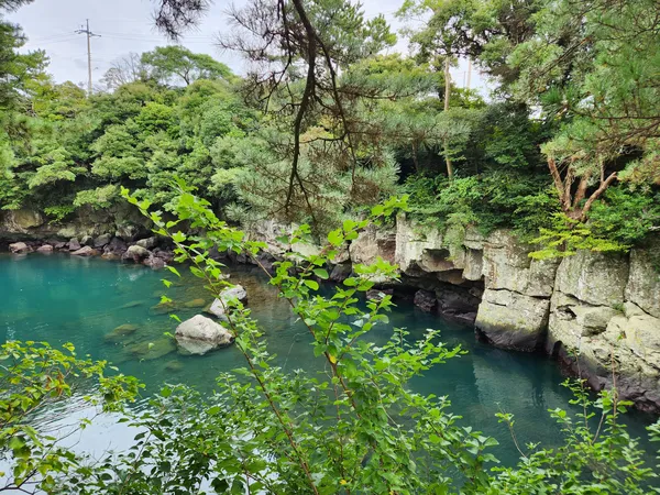 Korean nature & sea & forest aesthetic wallpaper for phone