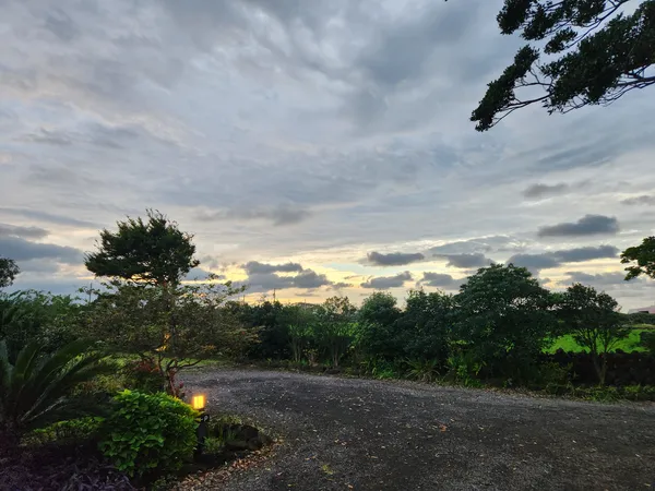 Korean nature & park & sunset aesthetic wallpaper for phone