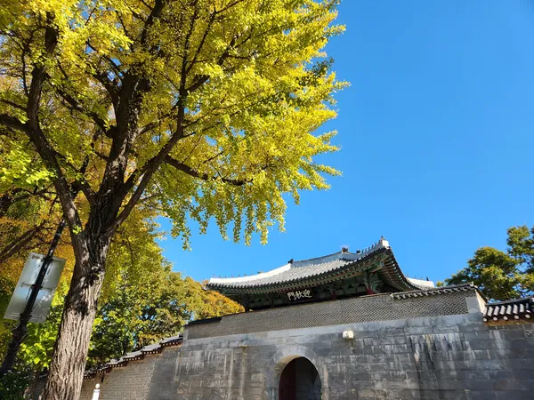 Korean architecture & autumn & nature & hanok aesthetic wallpaper for phone