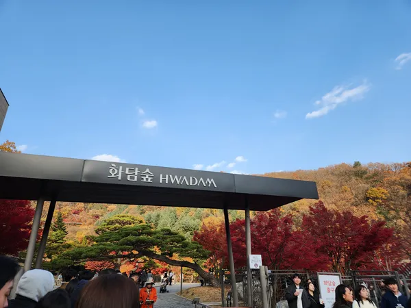 Korean park & autumn & nature aesthetic wallpaper for phone