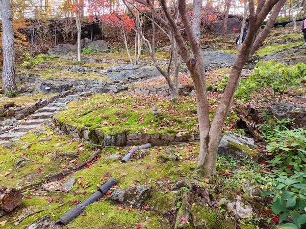 Korean nature & autumn & park aesthetic wallpaper for phone