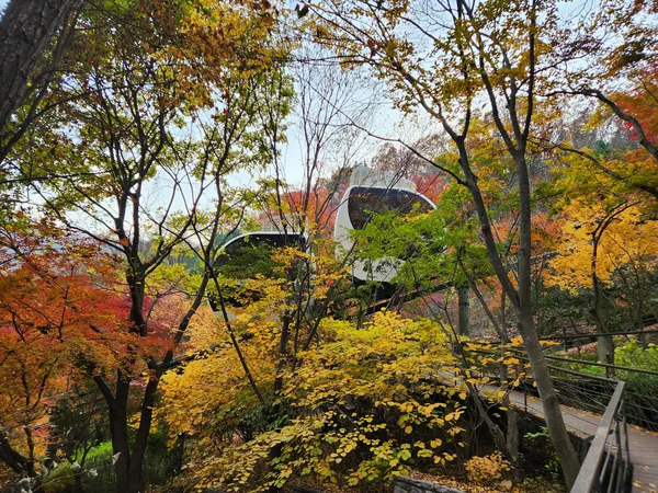 Korean nature & autumn & park & architecture aesthetic wallpaper for phone