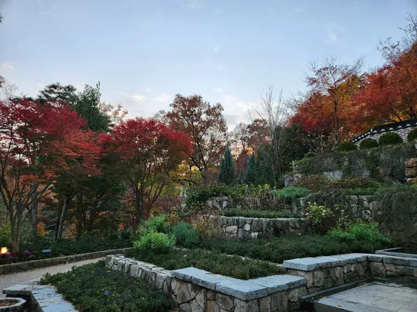 Korean nature & autumn & park aesthetic wallpaper for phone