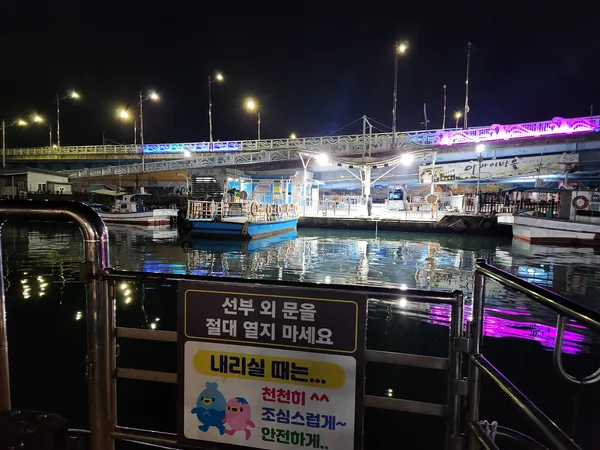 Korean sea & seoul-nights aesthetic wallpaper for phone