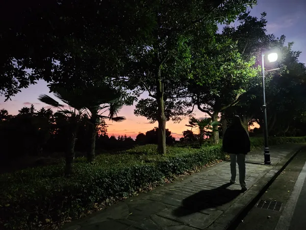 Korean sunset & park & nature aesthetic wallpaper for phone