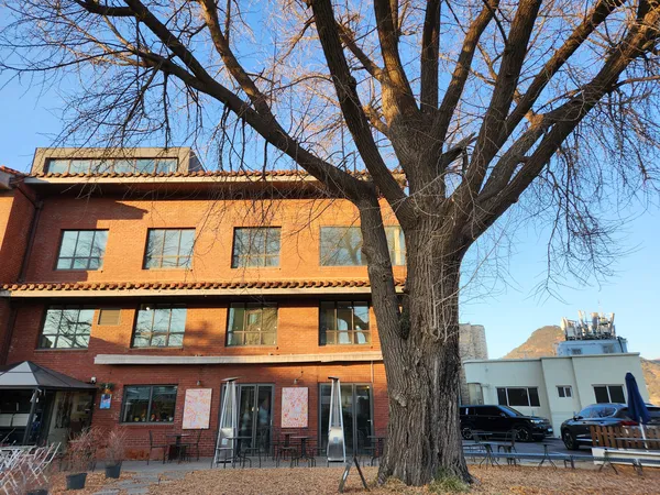 Korean street & cafe-culture & architecture aesthetic wallpaper for phone