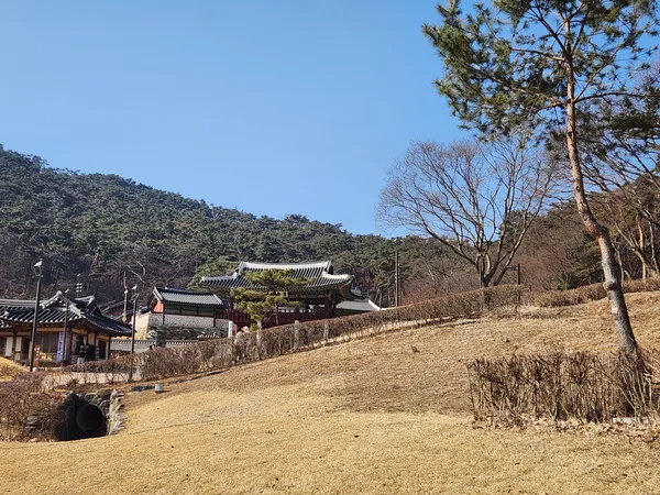 Korean hanok & nature & park aesthetic wallpaper for phone
