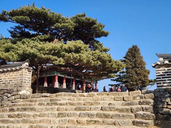 Korean architecture & hanok & nature aesthetic wallpaper for phone