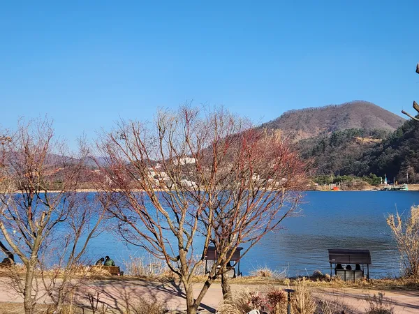 Korean forest & mountain & park & river & snow aesthetic wallpaper for phone