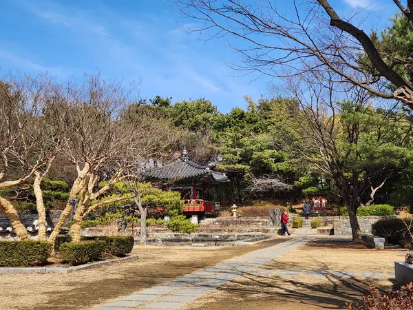 Korean hanok & park & nature aesthetic wallpaper for phone