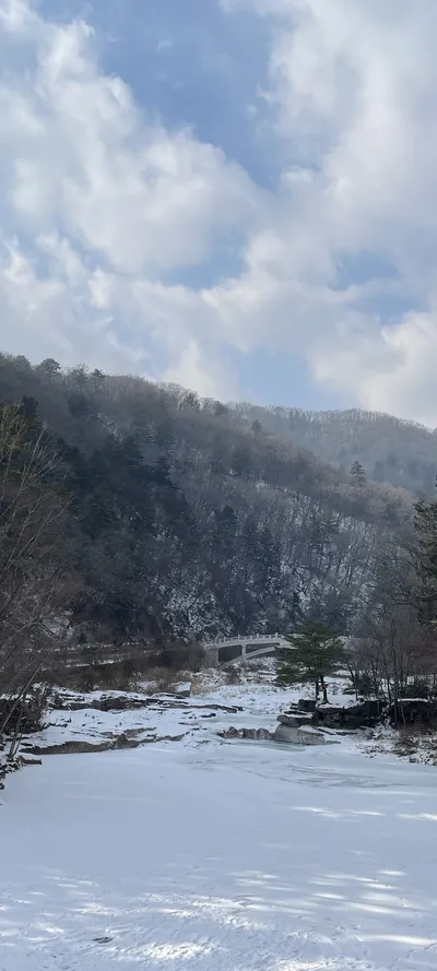 Korean forest & mountain & nature & river & snow aesthetic wallpaper for phone