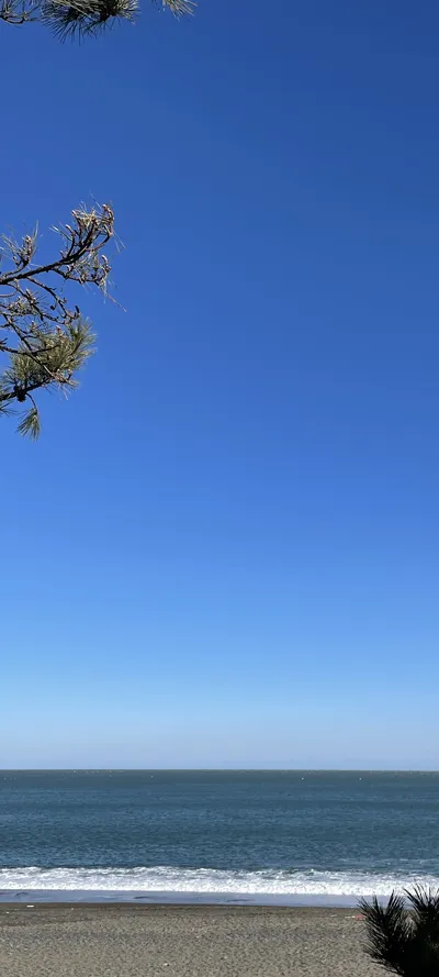 海・海岸