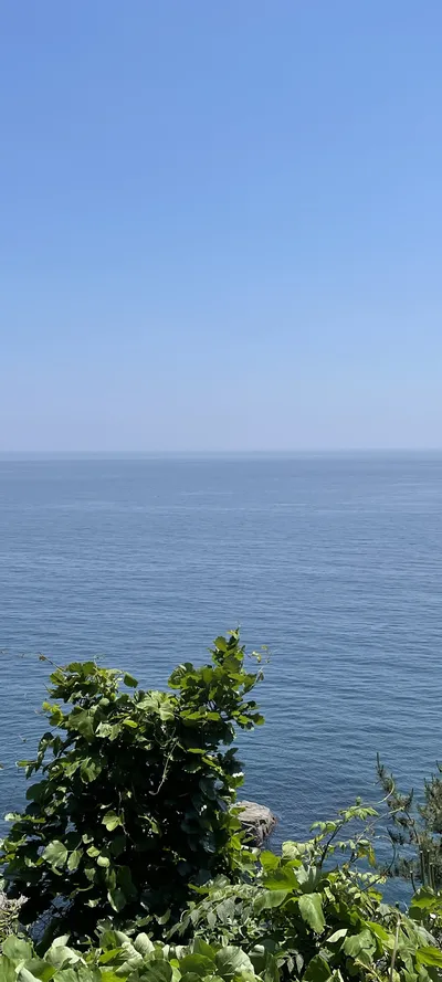 Sea & Coast